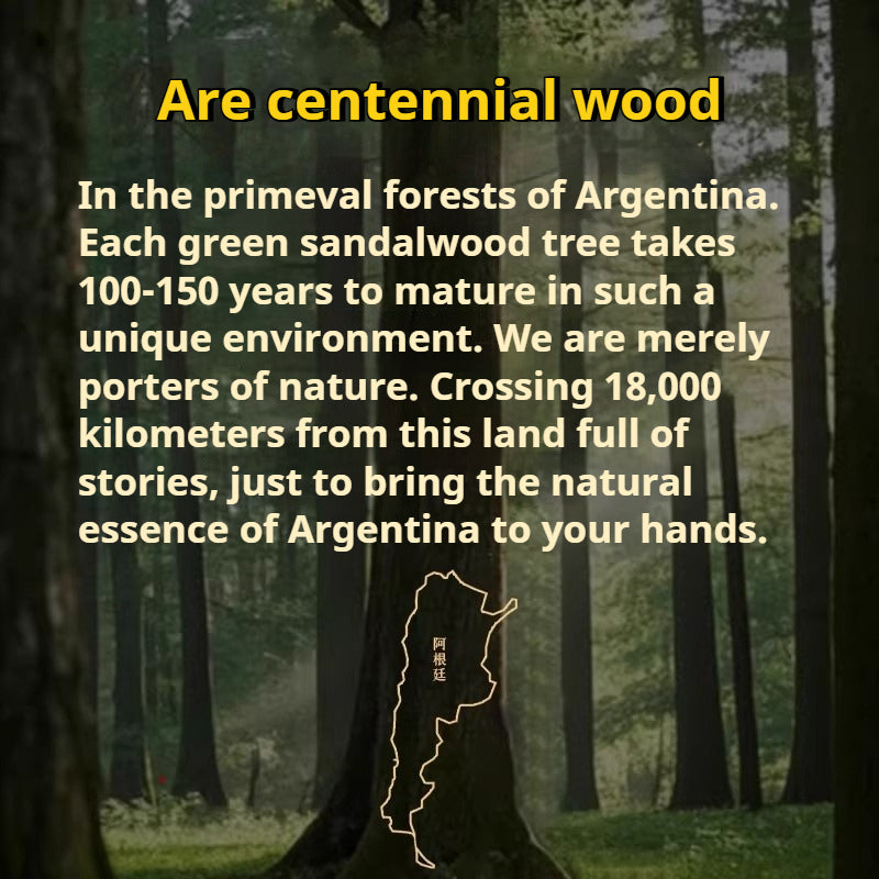 The Zen Anchor - Natural Green Sandalwood Grounding Bracelet for Anxiety Relief